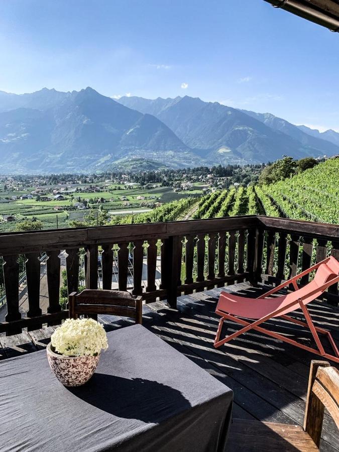 Pratenberg Wine *