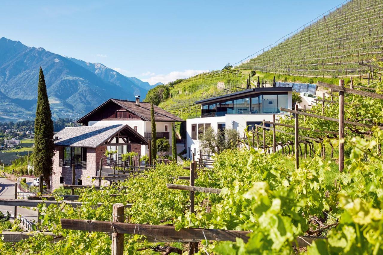 Apartment Pratenberg Wine